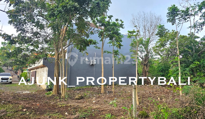 Tanah Kavling Lokasi Premium Lingkungan Vila, Labuan Sait Pecatu Tanah Kavling Lokasi Premium Lingkungan Vila, Labuan Sait Pecatu