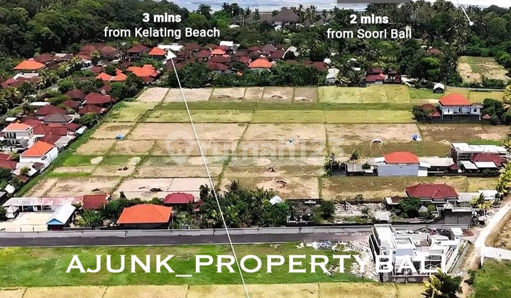 Tanah View Sawah & Laut Hanya 900 Mtr Ke Pantai Kelating Tabanan