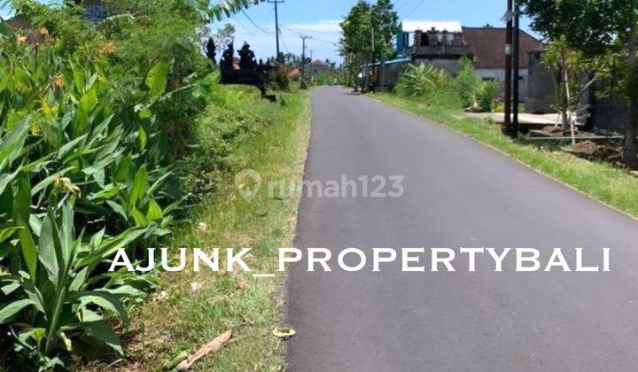 Remaining 1 Plot, Strategic Land Plot, Kedungu Beach - Tabanan 2