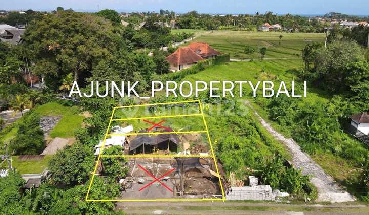 Plot Tanah Kavling di Nyanyi - Tabanan Hanya 7 Menit ke Pantai Plot Tanah Kavling di Nyanyi - Tabanan Hanya 7 Menit ke Pantai