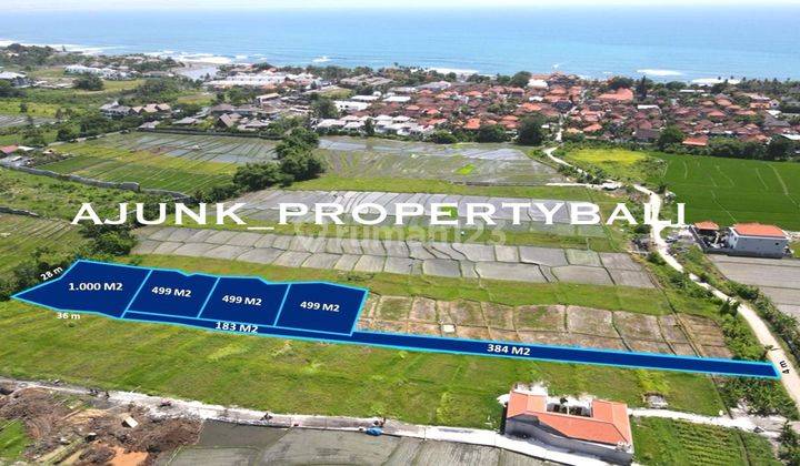 Plot of Land Surrounded by Rice Fields, 8 Minutes Walk to Seseh Beach 1