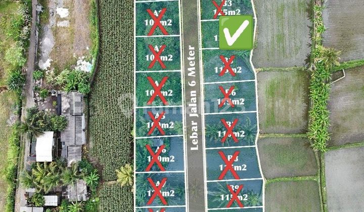 Rice Field View Plot Near Main Road, Saba - Gianyar