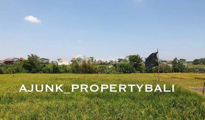 Plot of Land Surrounded by Rice Fields, 8 Minutes Walk to Seseh Beach 2