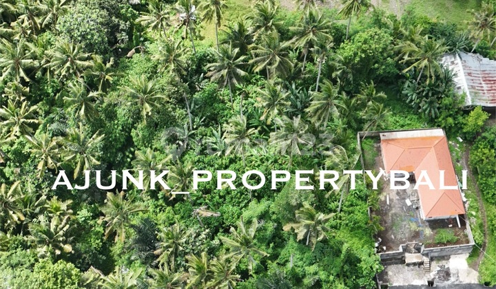 Sisa 6 Plot Tanah Kavling Dgn Jungle View, di Singakerta Ubud