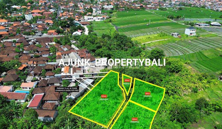 Land Below Market Price, 10 Minutes To Berawa Beach, Canggu 1