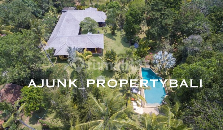 Vila Style Etnic Tropis Dgn Garden & Tanah Luas Di Cepaka Tabanan Vila Style Etnic Tropis Dgn Garden & Tanah Luas Di Cepaka Tabanan