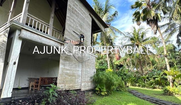 Resort Villa With Spacious Garden & Rice Field View, Strategic Area, Ubud 2