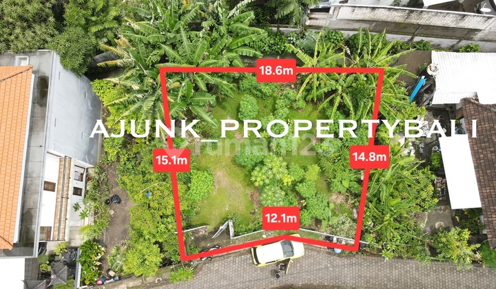 Harus Laku Bulan Ini, Tanah Langka Luasan Kecil, Berawa Canggu