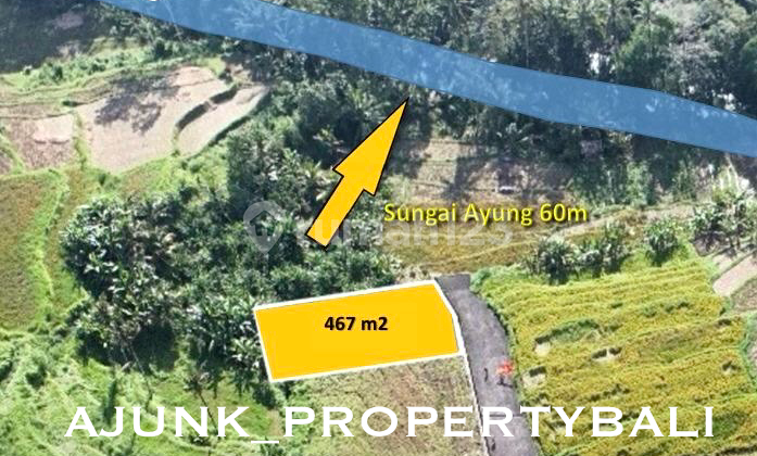 2 Plot Tanah View Sawah & Sungai Ayung, Dekat Semana Resort, Ubud
