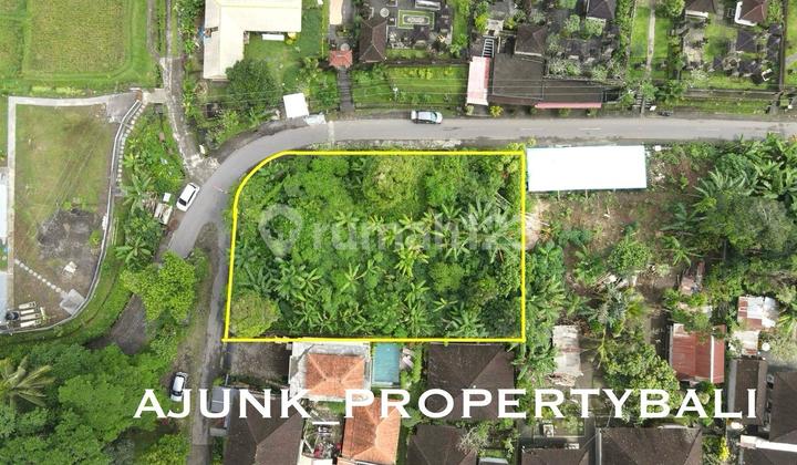 Strategic Commercial Land Suitable for Business, etc., Kelusa - Ubud