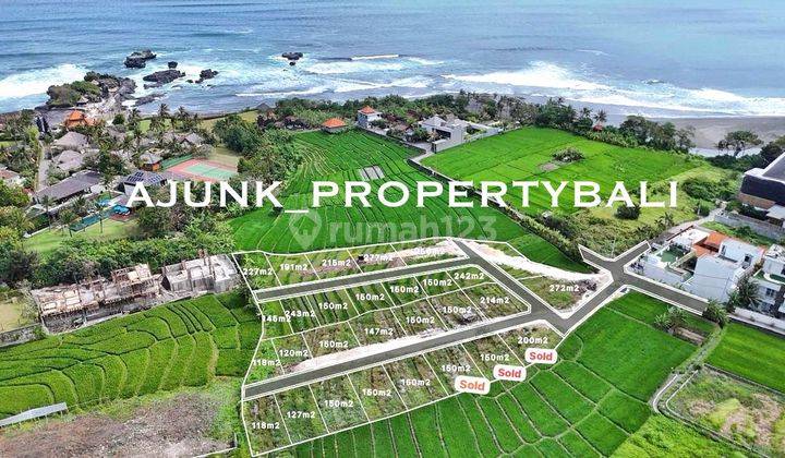 Rare, Land Plot with Sea & Rice Field View, at Cemagi Beach 1