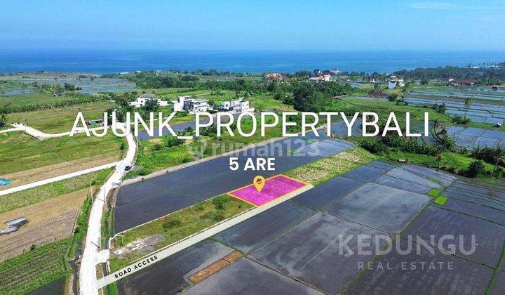 Tanah Lokasi Premium Hanya 3 Menit Ke Pantai Kedungu, Tabanan 1