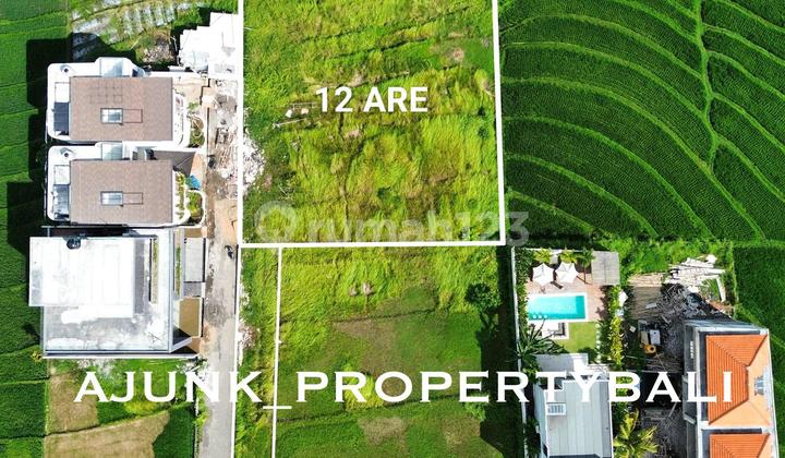 Tanah Strategis View Sawah Lingkungan Vila², Nyanyi - Tabanan