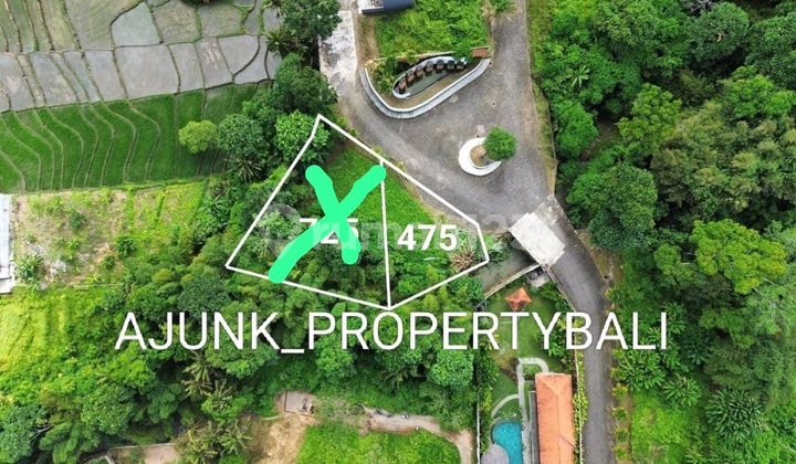 Dijual 2 Plot Tanah Loss Sungai & View Sawah, Kedungu - Tabanan