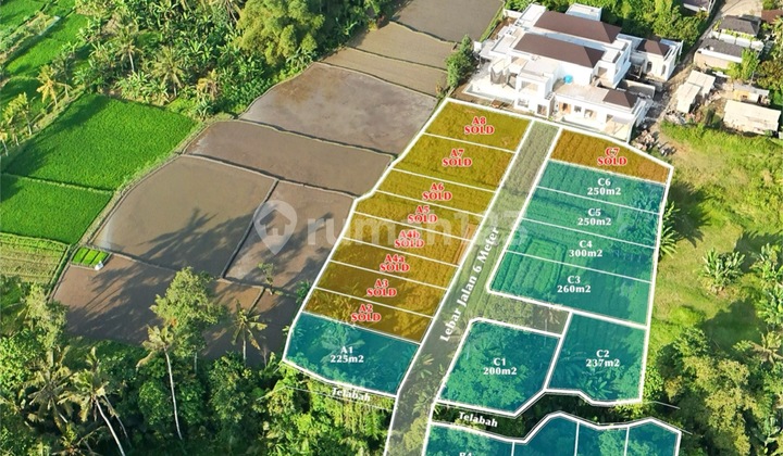 Tanah Kavling View Sawah Lingkungan Vila Lokasi di Ubud Tanah Kavling View Sawah Lingkungan Vila Lokasi di Ubud