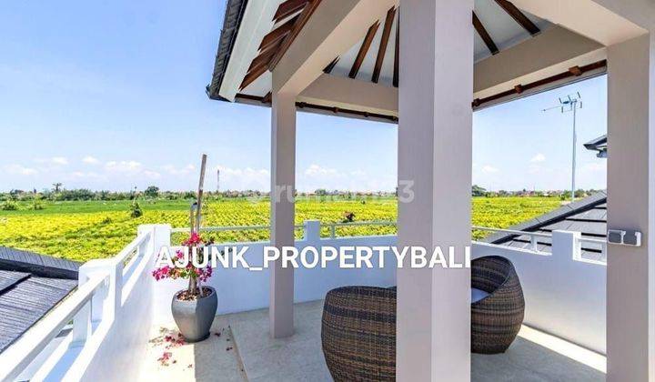 Rumah Baru Style Modern View Sawah, Lingkungan One Gate, Ketewel 2