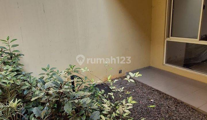 Dijual Rumah Termurah Di Alam Sutera, Leora Dekat Binus, Utara 2