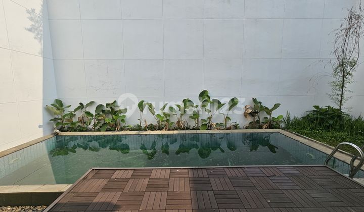 For Rent House In Bsd, De Maja, De Park, Near Nanyang, Ipeka, With Pool For Rent House In Bsd, De Maja, De Park, Near Nanyang, Ipeka, With Pool