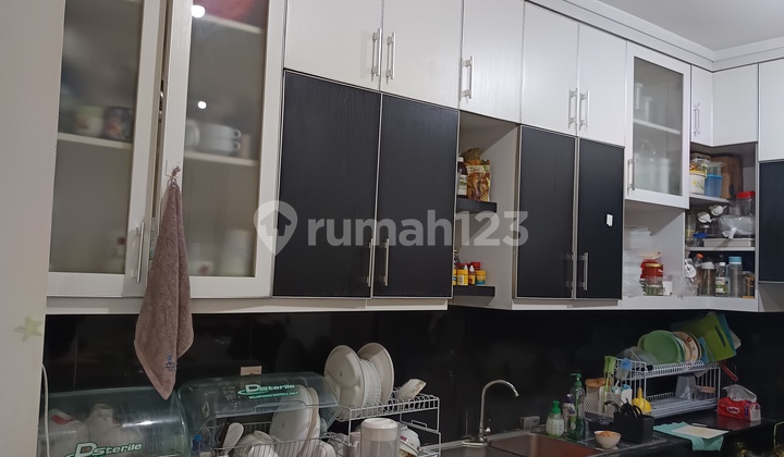 Alam Sutera, Palmyra, 5-Bedroom House, South, Renovated 2