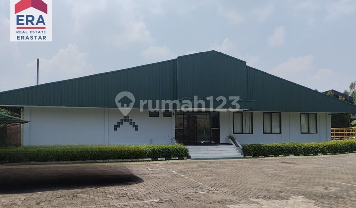 Metal and Waste Processing Factory Cheap Price Good Investment