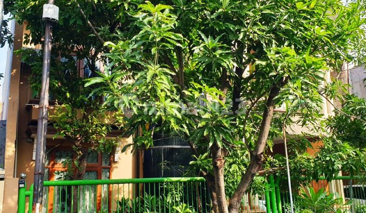 Rumah Di Rungkut Asri Timur Surabaya Bagus Terawat Strategis Rumah Di Rungkut Asri Timur Surabaya Bagus Terawat Strategis