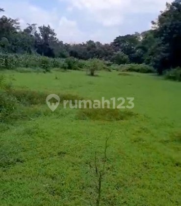 Garden Land on Jalan Desa Kendang Dukuh Wonorejo Pasuruan, Affordable