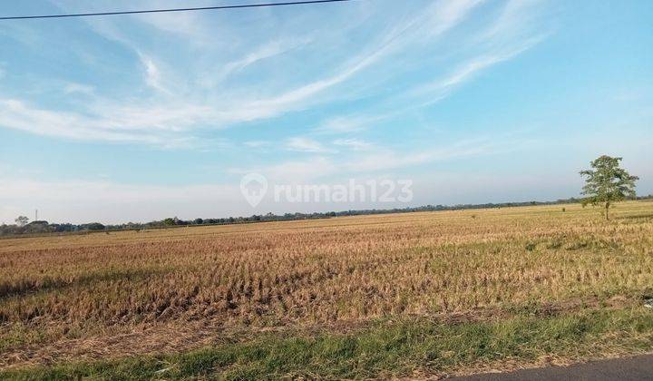 Dijual Cepat Tanah Industri Dekat Sungai Di Majalengka 2