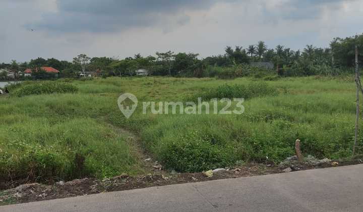 For Sale Fast Residential Land in Rajeg Tangerang