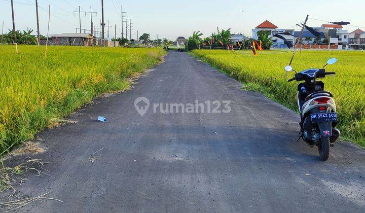 Tanah Datar Murah Renon Denpasar 1