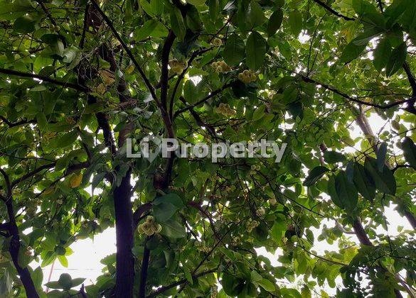 Dijual Rumah Sentyaki, Bulu Lor, Semarang Utara, Semarang 2