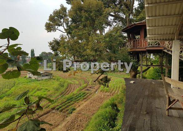 Dijual Kavling Polaman, Purwosari, Mijen, View Sawah, Semarang, 8200m2 1