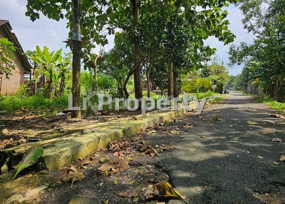 Purwosari, Mijen, Dekat Nirvana Stable, Semarang 1