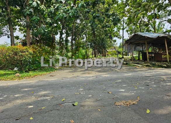 Purwosari, Mijen, Dekat Nirvana Stable, Semarang 2