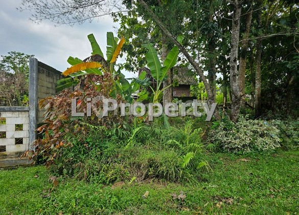 FOR SALE plot in Purwosari, Mijen, near Nirvana Stable, Semarang. 2