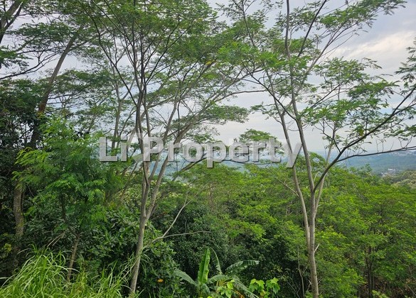 Villa Aster, Srondol, View Laut dan Lapangan Golf, Banyumanik, Semarang 2