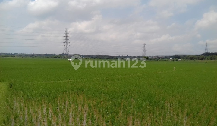 Dijual Tanah Sawah Dekat Ke Area Pabrik Karawang Timur 4