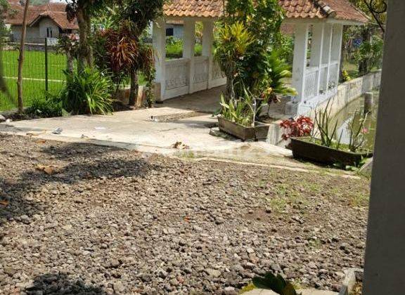 Rumah Di Jalan Cihideung Tasikmalaya Suasana  Tenang & Nyaman 3