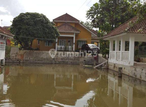 Rumah Di Jalan Cihideung Tasikmalaya Suasana  Tenang & Nyaman 6