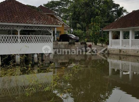 Rumah Di Jalan Cihideung Tasikmalaya Suasana  Tenang & Nyaman 10