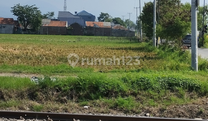 Tanah Luas Strategis di Rancaekek untuk Investasi & Bisnis Tanah Luas Strategis di Rancaekek untuk Investasi & Bisnis