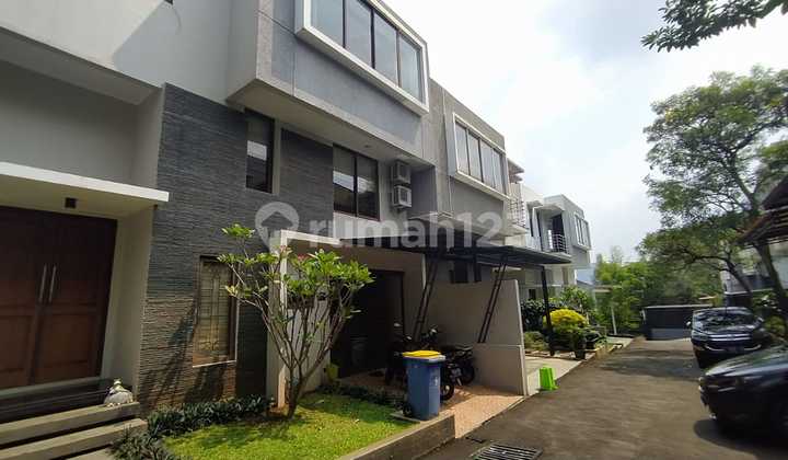 For Rent: Fully Furnished House With Swimming Pool In Cilandak Near Kemang