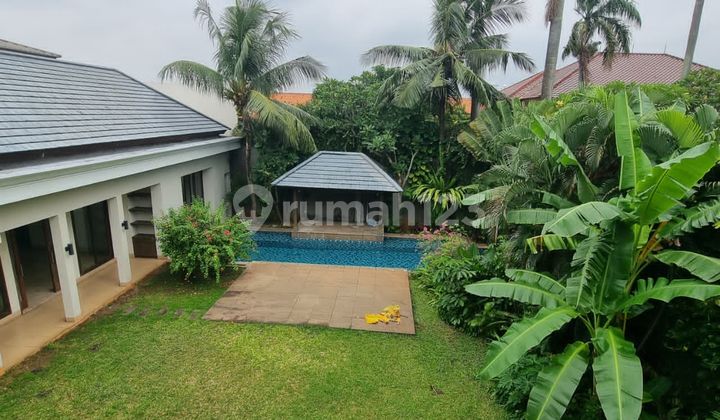 For Rent House with Garden and Swimming Pool in Cipete For Rent House with Garden and Swimming Pool in Cipete