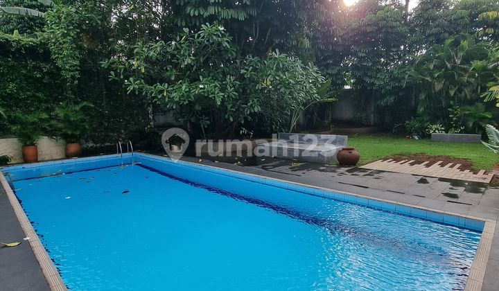 Compound In Pejaten With Swimming Pool & Big Backyard 2