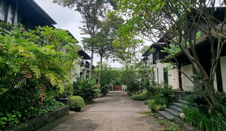 House In Compound With Villa Resort Style In Pejaten 2