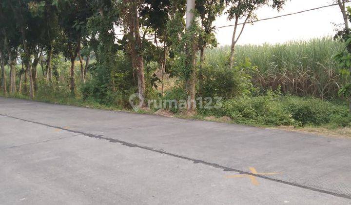 Lahan Kemlagi Mojokerto Pinggir Jalan 1