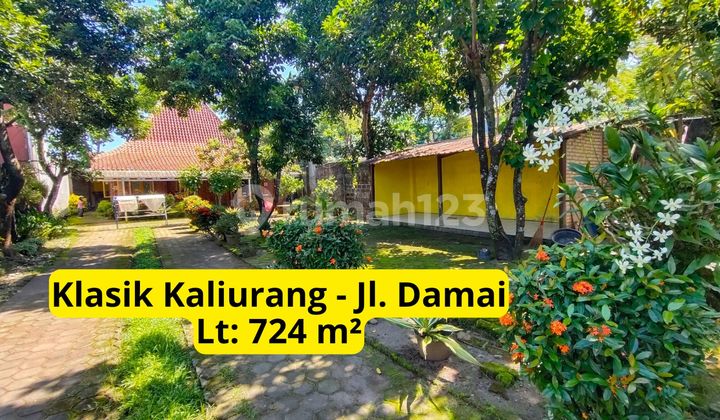 Rumah Halaman Luas Palagan Dekat Jalan Damai