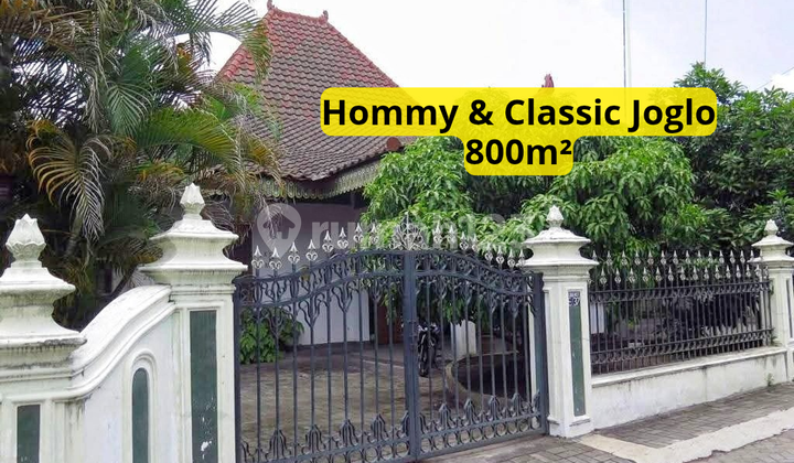 Omah Klasik Joglo Kaliurang Dekat Ugm Luas 800 Hommy