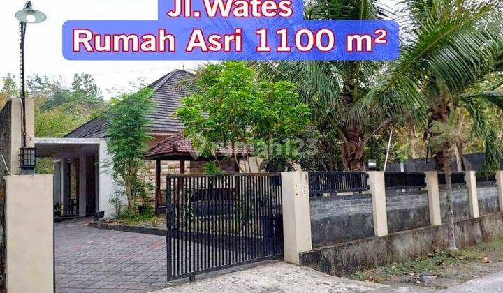 Rumah Tanah Luas 1000 Meter Jalan Wates Sedayu 1