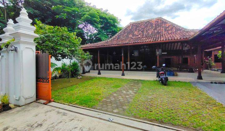Rumah Joglo Jalan Kaliurang Untuk Homestay