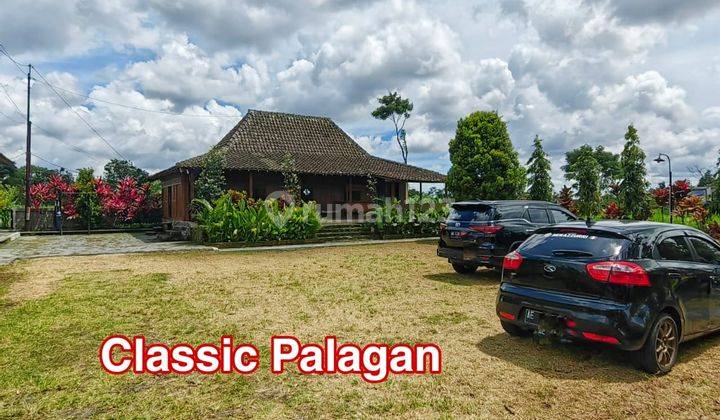 Rumah Klasik Limasan Palagan View Persawahan 1